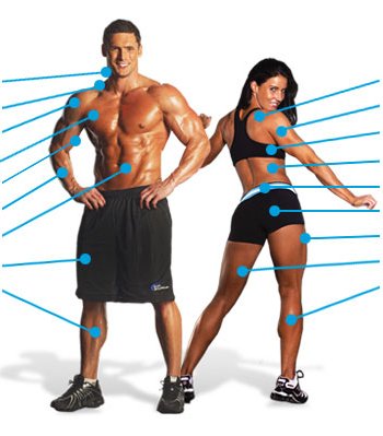 Find the best exercises for the different body parts on Bodybuilding.com