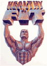 Healthy 'N Fit logo