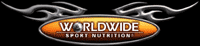 Worldwide logo