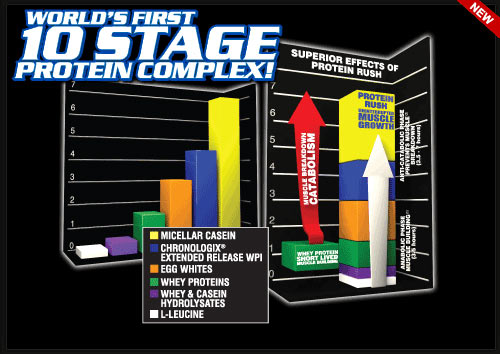 World's First 10 Stage Protein Complex