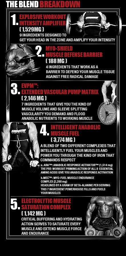 Muscle Prime Blend Breakdown