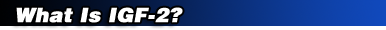 What Is IGF-2?