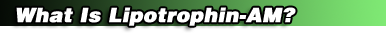 What Is Lipotrophin-AM?