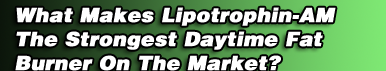 What Makes Lipotrophin-AM An Effective Daytime Fat Burner?