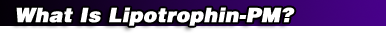 What Is Lipotrophin-PM?