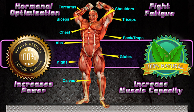 Hormonal Optimization, Fight Fatigue, Increases Power, Increase Muscle Capacity.* 100% Natural.