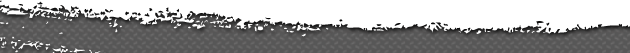 Bottom Border
