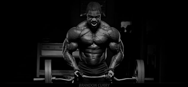Brandon Curry - Team BSN Athlete