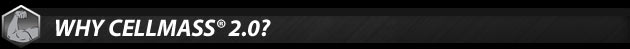 Why CELLMASS 2.0?
