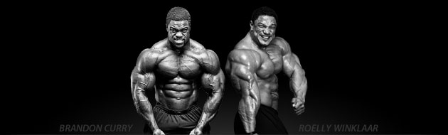 Amanda Latona, Roelly Winklaar & Jennifer Nicole Lee - Team BSN Athletes