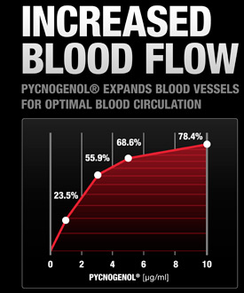 Increased Blood Flow