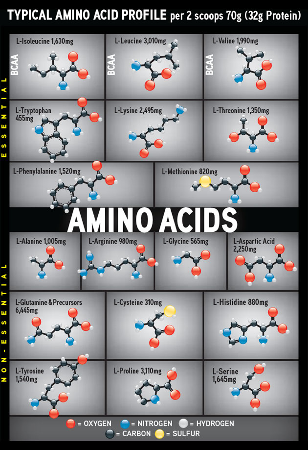 Muscle Milk amino chart