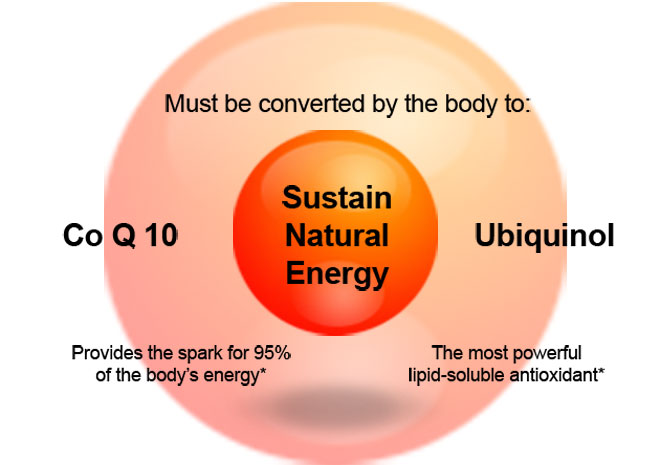 CoQ10-Provides The Spark For 95% Of The Body's Energy, Ubiguinol-The Most Powerful Lipid-Soluble Antioxidant*. Must be converted by the body to: Sustain Natural Energy.
