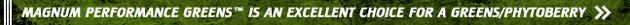 Magnum Performance Greens is an excellent choice for a Greens/Phytoberry