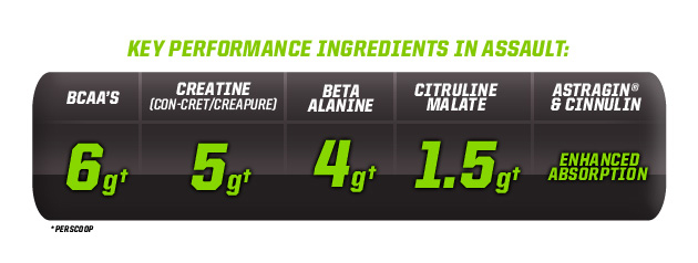 Key Performance Ingredients In Assault: BCAA's-6g†, Creatine (Con-Cret/Creapure)-5g†, Beta Alanine-4g†, Citruline Malate-1.5g†, Astragin & Cinnulin-Enhanced Absorption. †Per Scoop