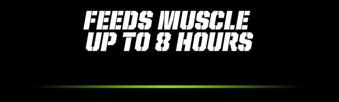 Feeds Muscle Up to 8 Hours