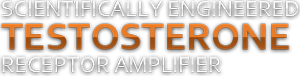 Scientifically Engineered Testosterone Receptor Amplifier*