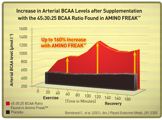 Increase in Arterial BCAA Levels after Supplementation with the 40:30:25 BCAA Ration Found in AMINO FREAK