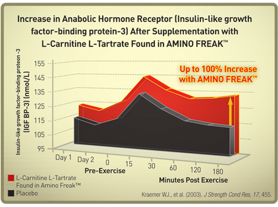 Increase in Anabolic Hormone Receptor (Insulin-like growth factor-binding protein-3) After Supplementation with L-Carnitine L-Tartrate Found in AMINO FREAK