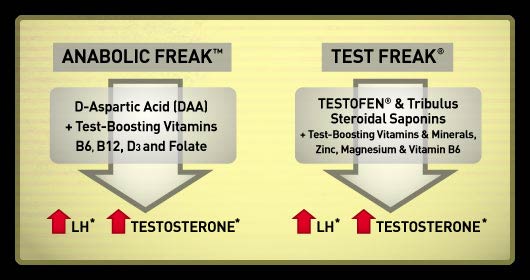 Anabolic Freak Comparison