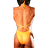 Orange Back