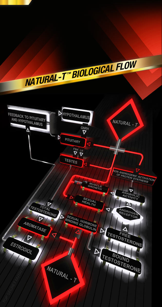 Natural-T Biological Flow