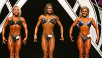Women's Posing Suits