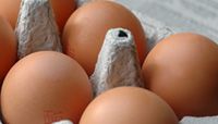 Egg Whites
