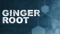 Ginger Root