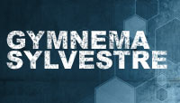 Gymnema Sylvestre