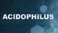 Acidophilus