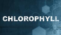Chlorophyll