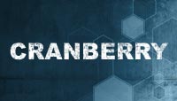 Cranberry