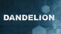 Dandelion