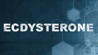 Ecdysterone