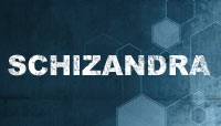 Schizandra