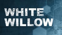 White Willow