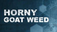 Horny Goat Weed