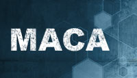 Maca
