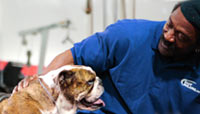 Pet Health