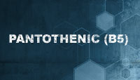 Pantothenic Acid