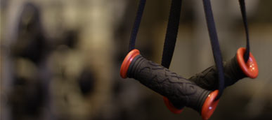 Workout Equipment