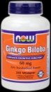NOW Ginkgo Biloba