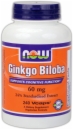 NOW Ginkgo Biloba