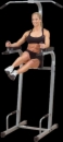 Body-Solid Powerline Vertical Knee Raise