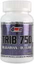 4Ever Fit Trib 750