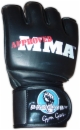 Progryp Pro-Series MMA Gloves