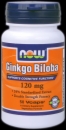 NOW Ginkgo Biloba 120