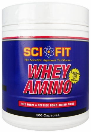 SciFit Whey Amino - 500 Capsules