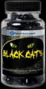 Applied Nutriceuticals Black Cats
